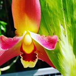 Profile Picture of Candy Roberts (@candia4161) on Instagram