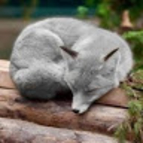 Profile Picture of Haleigh Mcclain (@mochafreak7) on Poshmark