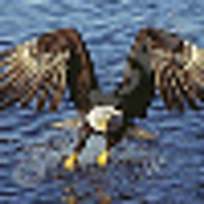 Profile Picture of Ernesto Conrad (@urakienc) on Twitter