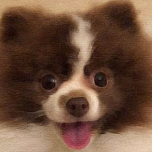 Profile Picture of douggeyer0 (@doug.geyer8) on Tiktok