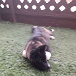 Profile Picture of Gary Meza (@gary.meza.752) on Instagram