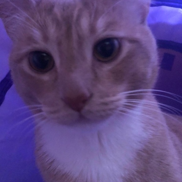 Joshua Dobbin - Poshmark Profile Picture of Joshua Dobbin (@joshd681) on Poshmark