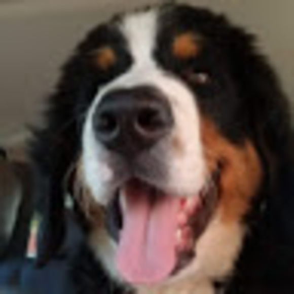 Profile Picture of Barbara Casiday (@casidaybarb1996) on Poshmark