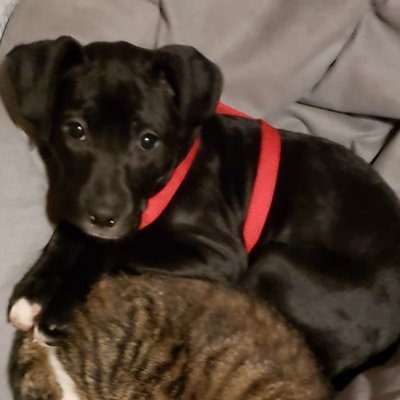 Profile Picture of Matthew Vannoy (@matthewvannoy8) on Twitter