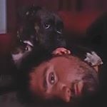 Profile Picture of Randy Spitler (@apocalypse717) on Instagram