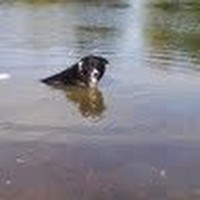 Profile Picture of Marc Dudley (@marc-dudley-4) on Quora