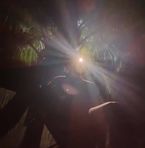 Profile Picture of Mark Joseph Rigor (@Mark-Joseph-Rigor) on Facebook