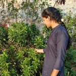 Profile Picture of anitha goud (@1122anitha) on Instagram