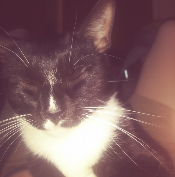 Profile Picture of Scott Schwinger (@scottschwinger) on Poshmark