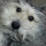 Profile Picture of Charley Howard (@charlene.howard.5245) on Instagram