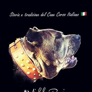 Profile Picture of Michele Bocci (@michele.bocci.397) on Facebook