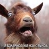 Profile Picture of Walter Sperling (@walter.sperling.16) on Facebook