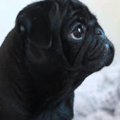 Profile Picture of Aaron Hardwick (@aaronhardwick2110) on Youtube