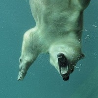 Profile Picture of Michael Fake (@michael-fake-3) on Quora