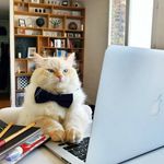 Profile Picture of Jan Franciszek Twardowski (@faust97xy) on Instagram