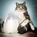 Profile Picture of Ernest Cravendale Milkman (@ernie.milkman.7) on Facebook