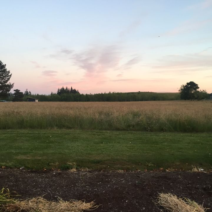 Profile Picture of Richardhugh36 (@openj49) on Tiktok