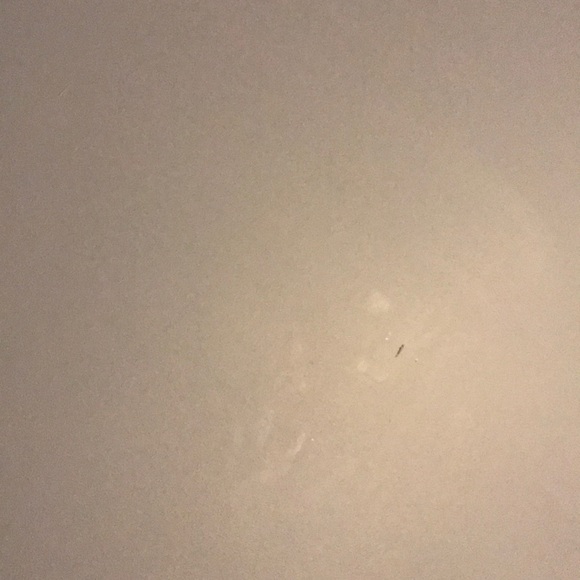 Profile Picture of Bbraelynn Jurgensen (@bjurgensen) on Poshmark