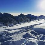 Profile Picture of Dustin Clanton (@dustin.clanton) on Instagram
