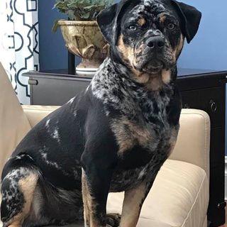 Profile Picture of Robert Jardine (@robert.jardine.925) on Facebook