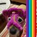 Profile Picture of Craig MacFarlane (@craig.macfarlane.378) on Facebook