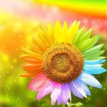 Profile Picture of Cheryl Dailey (@chermarie04) on Instagram