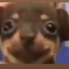 Profile Picture of Erik Campbell (@flixserum) on Tiktok