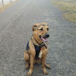 Profile Picture of Mark Crowther (@crowthrm) on Instagram