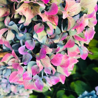 Profile Picture of Ava Arnold (@ava6234) on Twitter