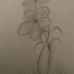 Profile Picture of Richard Conner (@richard.conner.3954546) on Facebook