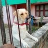 Profile Picture of Keith Rock (@@user301549) on Tiktok