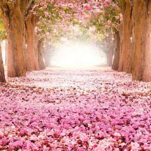 Profile Picture of Maria Albert (@mariakeenan) on Poshmark