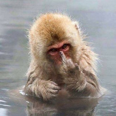 Leonard Fleischmann - Twitter Profile Picture of Leonard Fleischmann (@Meathead58) on Twitter