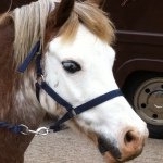 Profile Picture of Gemma Williams (@gemmawilliams3) on Instagram