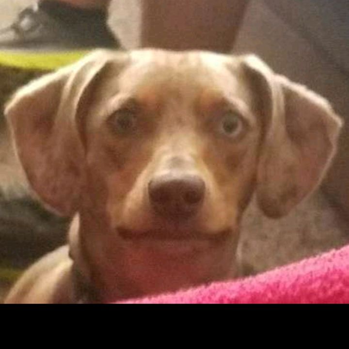 Profile Picture of Jacob Sherman (@@sher_jake) on Tiktok