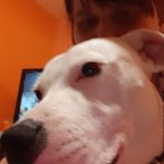 Rachel McCrystal - Instagram Profile Picture of Rachel McCrystal (@mccrystalrachel) on Instagram