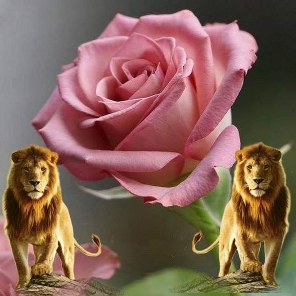 Profile Picture of Maria Arevalo (@elenaarevalo7) on Poshmark