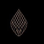Profile Picture of Cedar (@cedaromaha) on Instagram