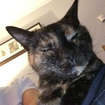 Profile Picture of Jason Palmer (@jasonpalmer6) on Flickr