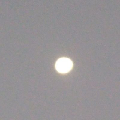 Profile Picture of Daniel Cajigas (@DanielCajigas5) on Twitter