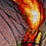 Profile Picture of Justin Barker (@JustinBugs) on Flickr