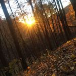 Profile Picture of Travis Harman (@tlharman01) on Instagram