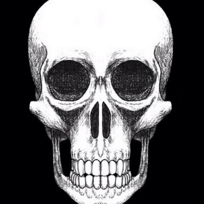 Profile Picture of Michael Margadonna (@mmmargadonna) on Twitter