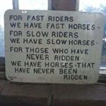 Profile Picture of Debbie Jepson-Brady (@dabrady55) on Instagram