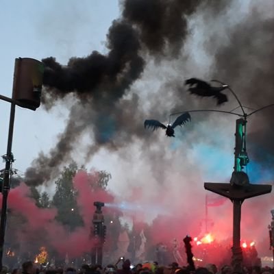 Profile Picture of Paul Cusack (@PaulCus67417452) on Twitter