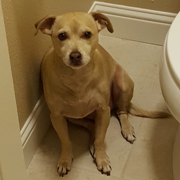 Profile Picture of Nick Pinto (@twice5) on Poshmark