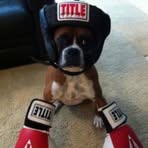 Profile Picture of Joseph Graham (@Joseph-Graham) on Facebook