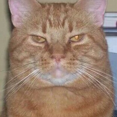 Profile Picture of Greg Wiesemann (@Greg_Wiesemann) on Twitter