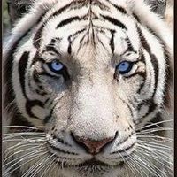 Profile Picture of David Mayo (@david-mayo-20) on Quora