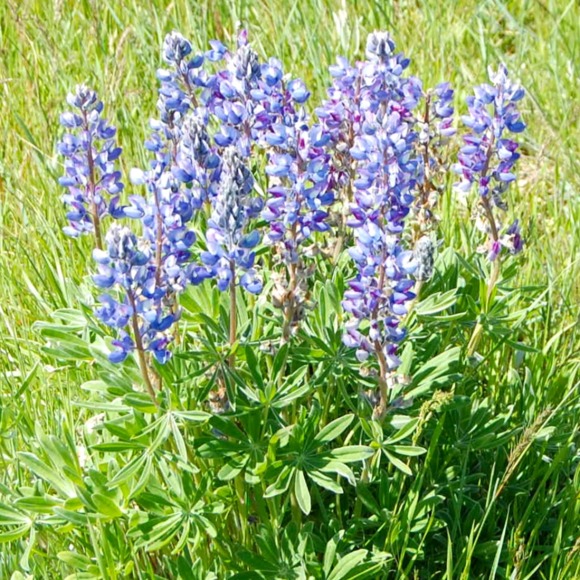 Profile Picture of Aaron Raines (@pathway_2_jhett) on Poshmark